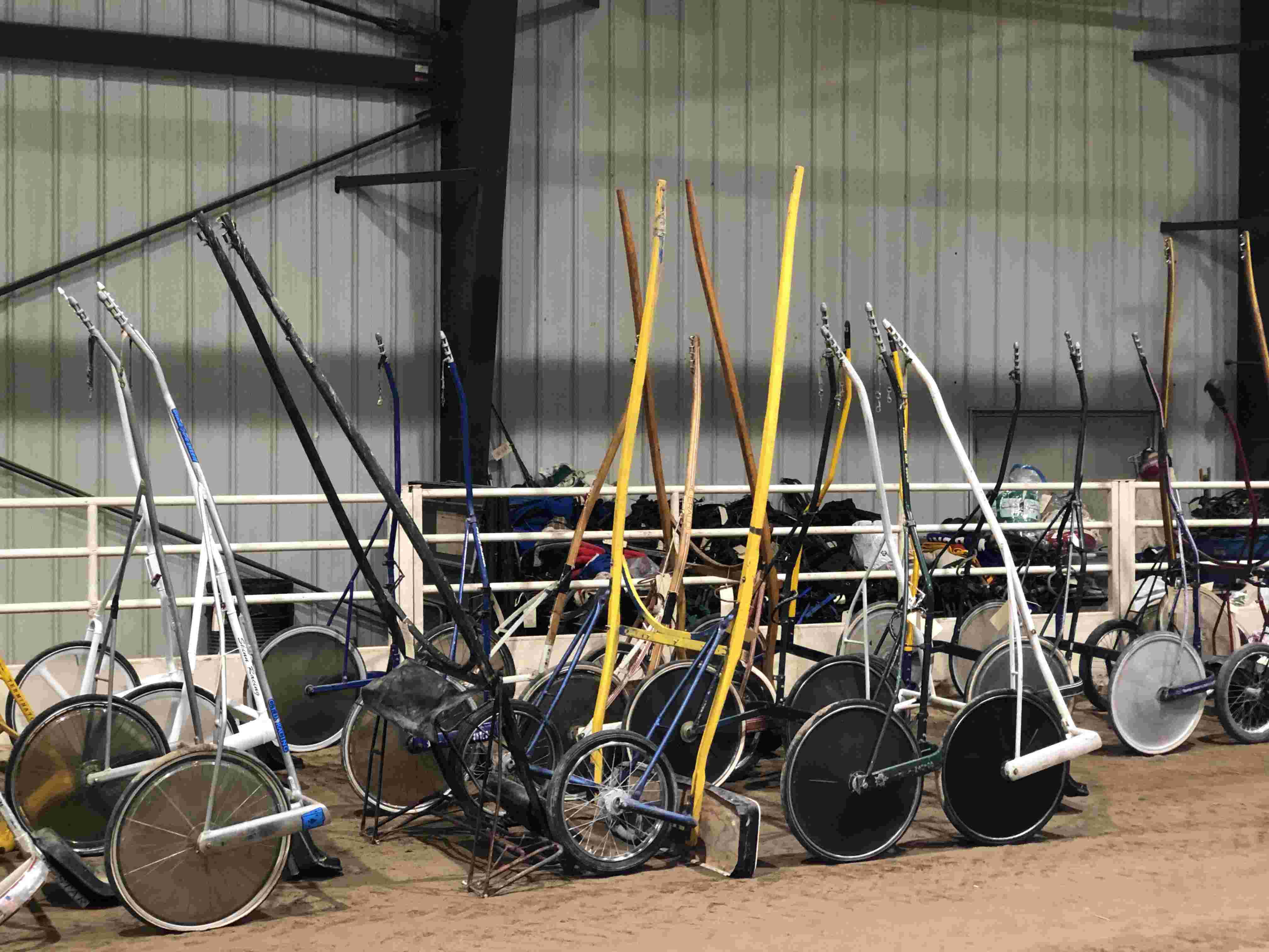 Tacksale Equipment Auction Blooded Horse