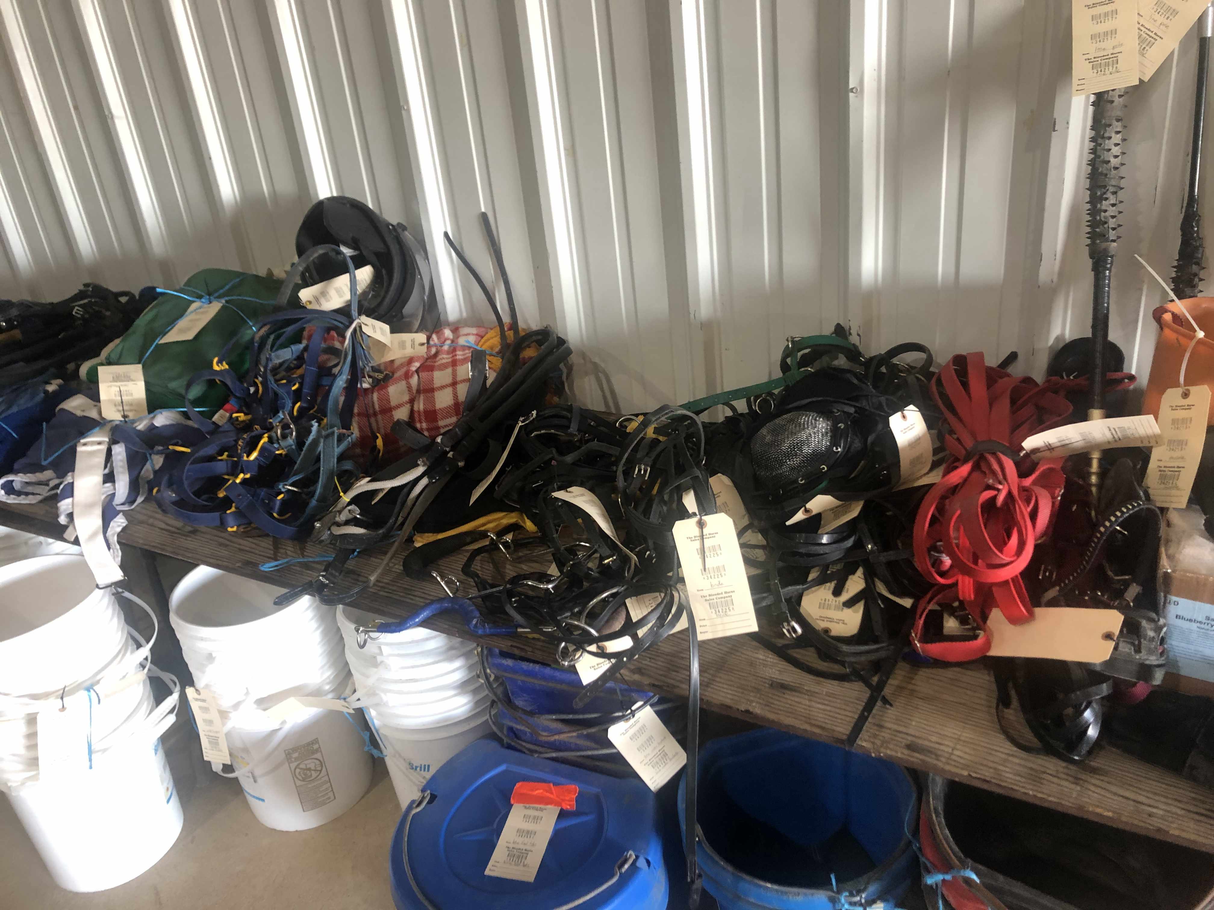 Tacksale Equipment Auction Blooded Horse